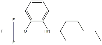 N-(heptan-2-yl)-2-(trifluoromethoxy)aniline Struktur