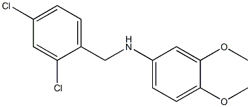 N-[(2,4-dichlorophenyl)methyl]-3,4-dimethoxyaniline Struktur