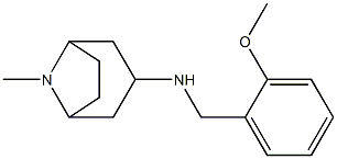 N-[(2-methoxyphenyl)methyl]-8-methyl-8-azabicyclo[3.2.1]octan-3-amine Struktur