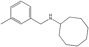 N-[(3-methylphenyl)methyl]cyclooctanamine Struktur