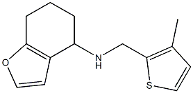 N-[(3-methylthiophen-2-yl)methyl]-4,5,6,7-tetrahydro-1-benzofuran-4-amine Struktur