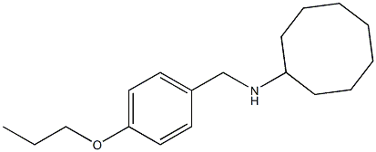 N-[(4-propoxyphenyl)methyl]cyclooctanamine Struktur