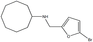 N-[(5-bromofuran-2-yl)methyl]cyclooctanamine Struktur