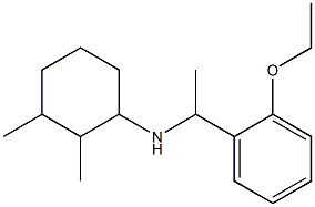 N-[1-(2-ethoxyphenyl)ethyl]-2,3-dimethylcyclohexan-1-amine Struktur