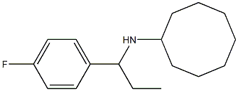 N-[1-(4-fluorophenyl)propyl]cyclooctanamine Struktur