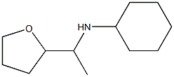 N-[1-(oxolan-2-yl)ethyl]cyclohexanamine Struktur