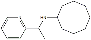 N-[1-(pyridin-2-yl)ethyl]cyclooctanamine Struktur