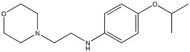 N-[2-(morpholin-4-yl)ethyl]-4-(propan-2-yloxy)aniline Struktur