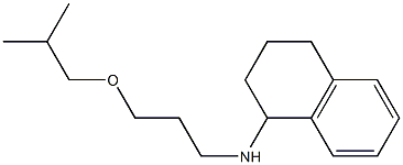 N-[3-(2-methylpropoxy)propyl]-1,2,3,4-tetrahydronaphthalen-1-amine Struktur