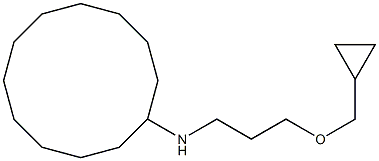 N-[3-(cyclopropylmethoxy)propyl]cyclododecanamine Struktur