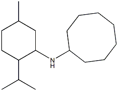 N-[5-methyl-2-(propan-2-yl)cyclohexyl]cyclooctanamine Struktur