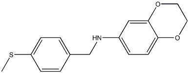 N-{[4-(methylsulfanyl)phenyl]methyl}-2,3-dihydro-1,4-benzodioxin-6-amine Struktur