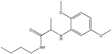 N-butyl-2-[(2,5-dimethoxyphenyl)amino]propanamide Struktur