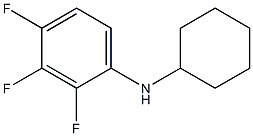 N-cyclohexyl-2,3,4-trifluoroaniline Struktur