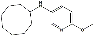 N-cyclooctyl-6-methoxypyridin-3-amine Struktur