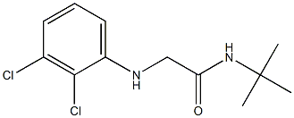 N-tert-butyl-2-[(2,3-dichlorophenyl)amino]acetamide Struktur