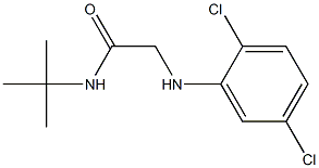 N-tert-butyl-2-[(2,5-dichlorophenyl)amino]acetamide Struktur