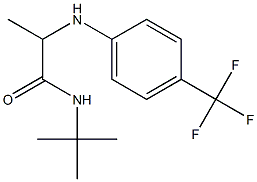 N-tert-butyl-2-{[4-(trifluoromethyl)phenyl]amino}propanamide Struktur