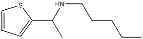 pentyl[1-(thiophen-2-yl)ethyl]amine Struktur