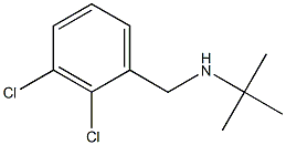 tert-butyl[(2,3-dichlorophenyl)methyl]amine Struktur