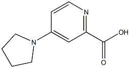 4-Pyrrolidin-1-ylpyridine-2-carboxylic acid Struktur