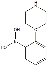 2-(Morpholin-1-yl)phenylboronic acid Struktur