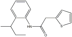 N-(2-sec-butylphenyl)-2-(2-thienyl)acetamide Struktur