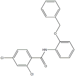 N-[2-(benzyloxy)phenyl]-2,4-dichlorobenzamide Struktur