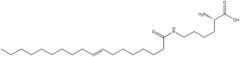 N6-(8-Octadecenoyl)lysine Struktur