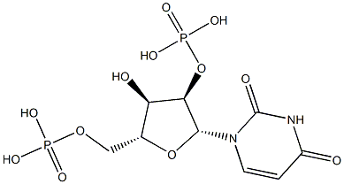 Uridine 2',5'-bisphosphoric acid Struktur