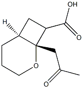 (1R,6S)-1-(2-Oxopropyl)-2-oxabicyclo[4.2.0]octane-8-carboxylic acid Struktur