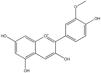 3,4',5,7-Tetrahydroxy-3'-methoxyflavylium Struktur