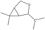 2-(6,6-Dimethyl-3-oxabicyclo[3.1.0]hexan-4-yl)propan-2-ylium Struktur