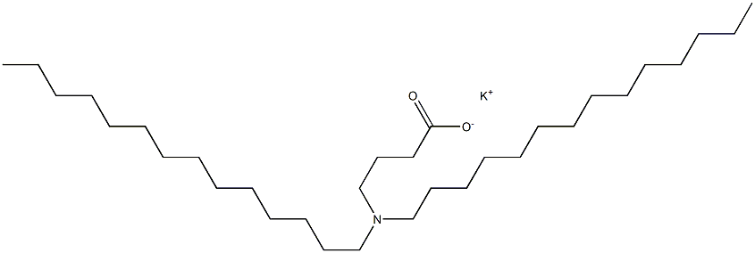 4-(Ditetradecylamino)butyric acid potassium salt Struktur