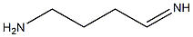 4-Iminobutylamine Struktur