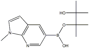 1-Methyl-7-azaindole-5-boronic acid pinacol ester Struktur