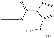 1-Boc-Pyrazole-5-boronic acid Struktur