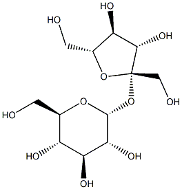 Sucrose-PBS solution (10%) Struktur