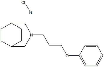 3-(3-PHENOXYPROPYL)-3-AZABICYCLO[3.2.2]NONANE HYDROCHLORIDE Struktur