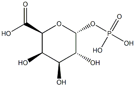 a-D-Galacturonic acid 1-phosphate