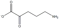 5-amino-2-oxo-pentanoate Struktur