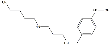 ((4-(B-hydroxyboryl)phenyl)methyl)spermidine Struktur