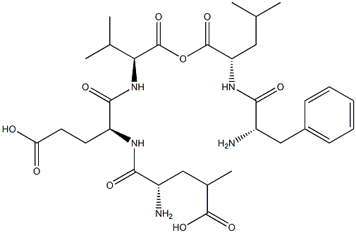 phenylalanyl-leucyl-gamma-methylglutamyl-glutamyl-valine Struktur