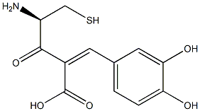 cysteinylcaffeic acid Struktur