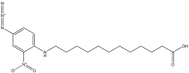 12-(4-azido-2-nitrophenylamino)dodecanoic acid Struktur