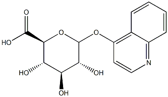 4-QUINOLGLUCURONIDE Struktur