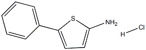 5-PHENYL-2-THIOPHENAMINEHYDROCHLORIDE Struktur