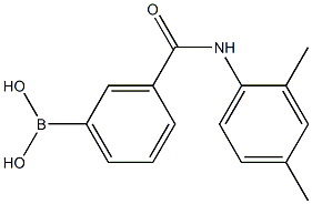 3-[(2,4-Dimethylphenyl)carbamoyl]benzeneboronicacid98% Struktur