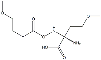 O-METHYL-L-HOMOSERINE, (S)-2-AMINO-4-METHOXYBUTYRIC ACID Struktur