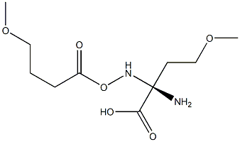 O-METHYL-D-HOMOSERINE, (R)-2-AMINO-4-METHOXYBUTYRIC ACID Struktur